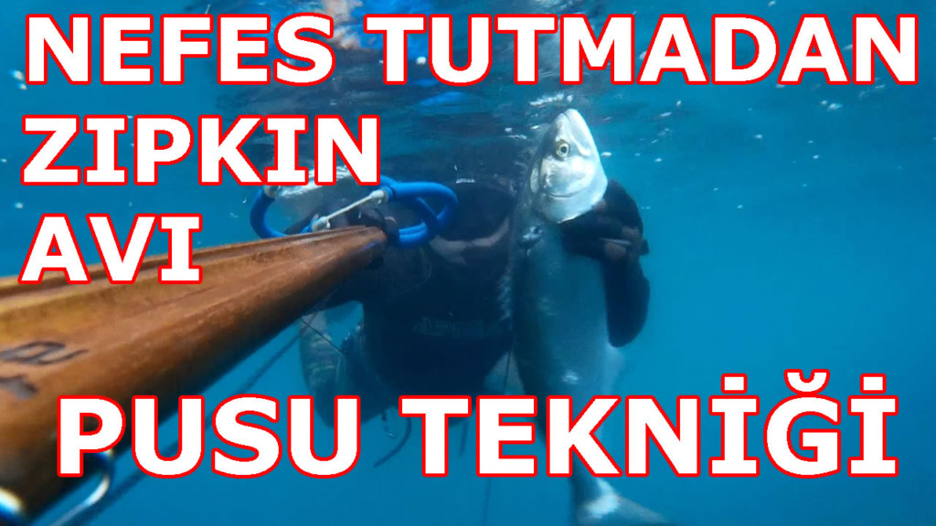 Pusu Tekniği | Nefes Tutmadan Zıpkınla Balık Avı Yöntemi