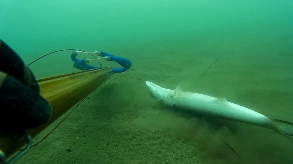 mendirek dalışı nasıl yapılır