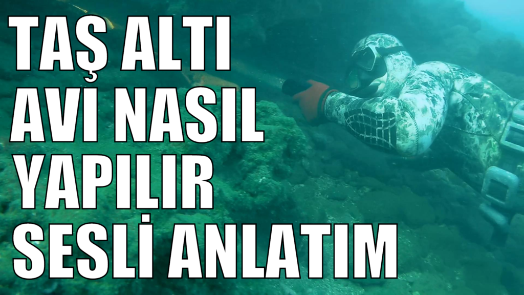 zıpkınla taş altı avı