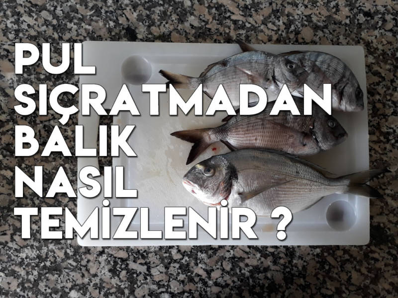 Pul sıçratmadan balık nasıl temizlenir