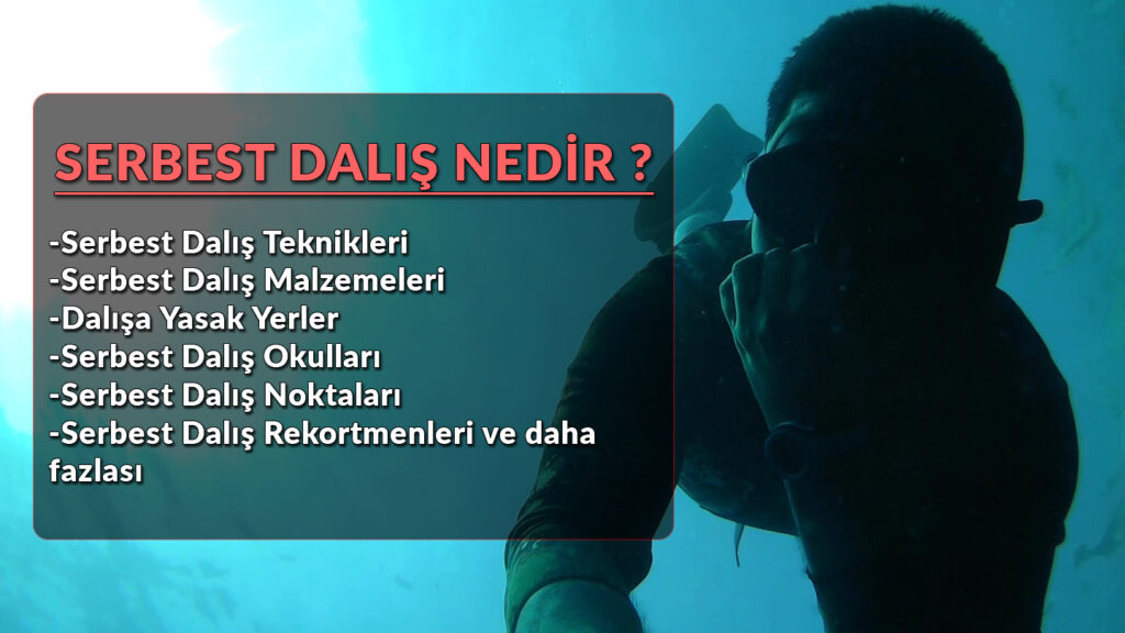 Serbest Dalış Nedir ?