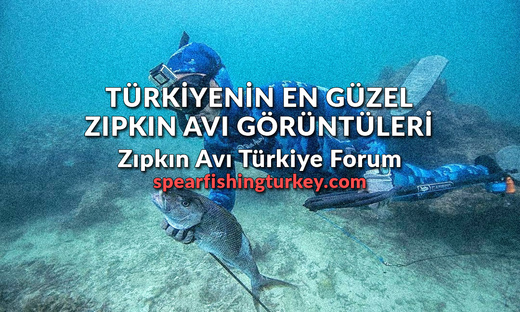 Türkiyenin En Güzel Zıpkınla Balık Avı Görüntüleri
