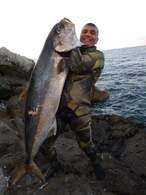 43 kg akya sarıkuyruk kuzu balığı