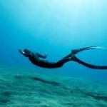 Can Freediver